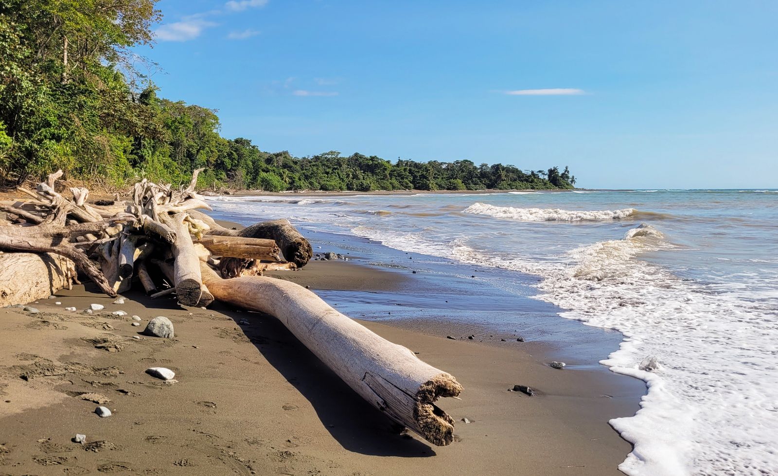 Osa Peninsula & Corcovado Guide