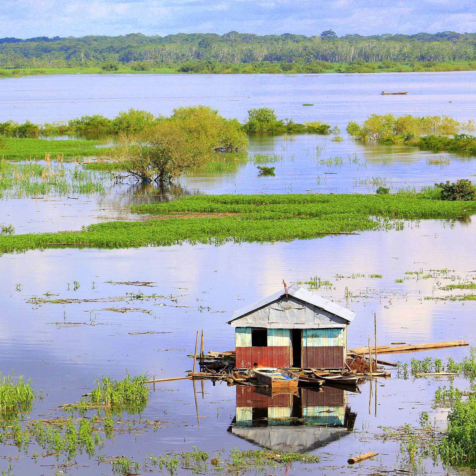 Peru Amazon Travel Guide