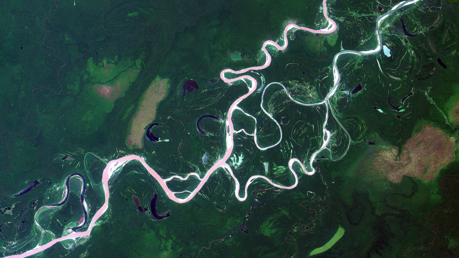 A wide, calm river winding through dense rainforest in the Peruvian Amazon