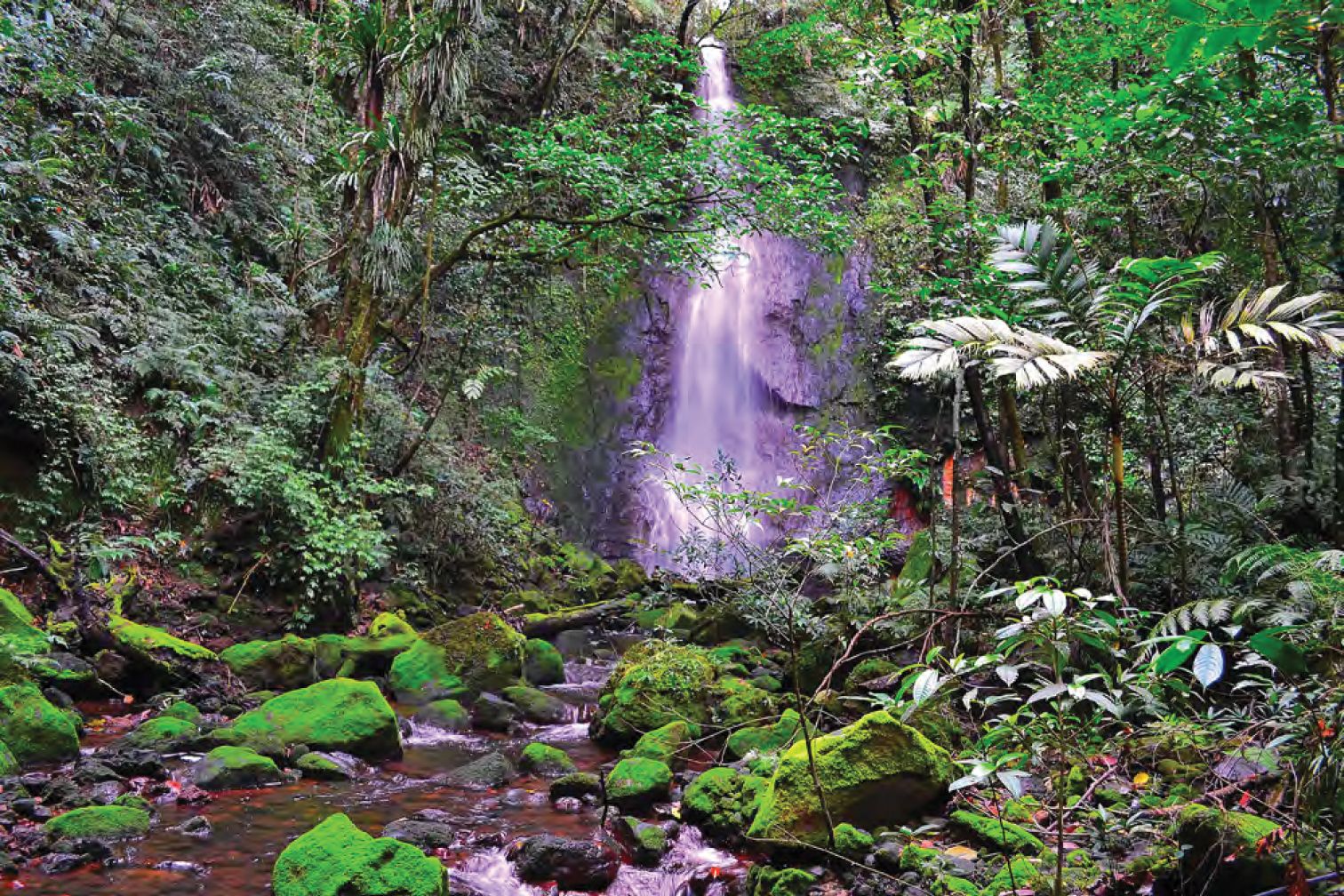A waterfall cascading through dense tropical rainforest in the Philippines