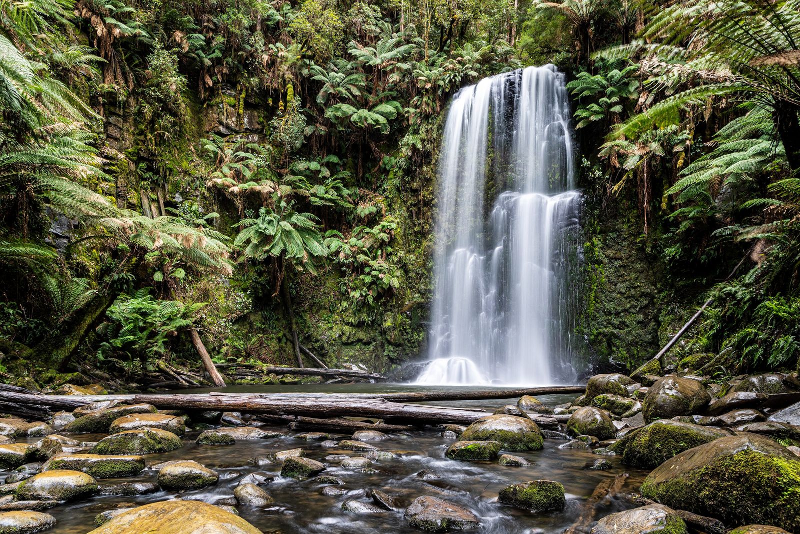 A rainforest waterfall photographed with a long exposure, rendering the water as a smooth, silky blur