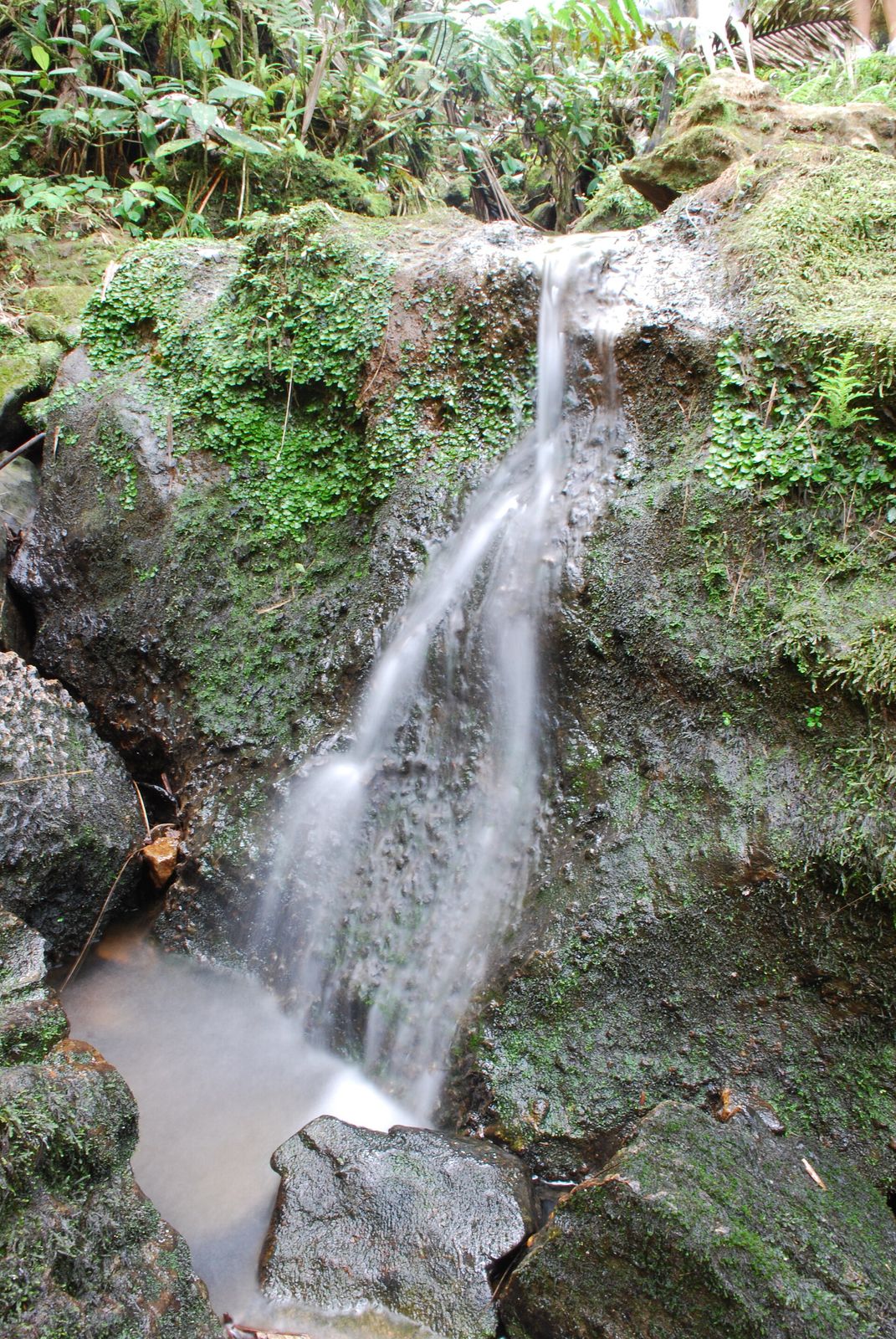 A waterfall drops through dense green rainforest foliage in El Yunque National Forest, Puerto Rico