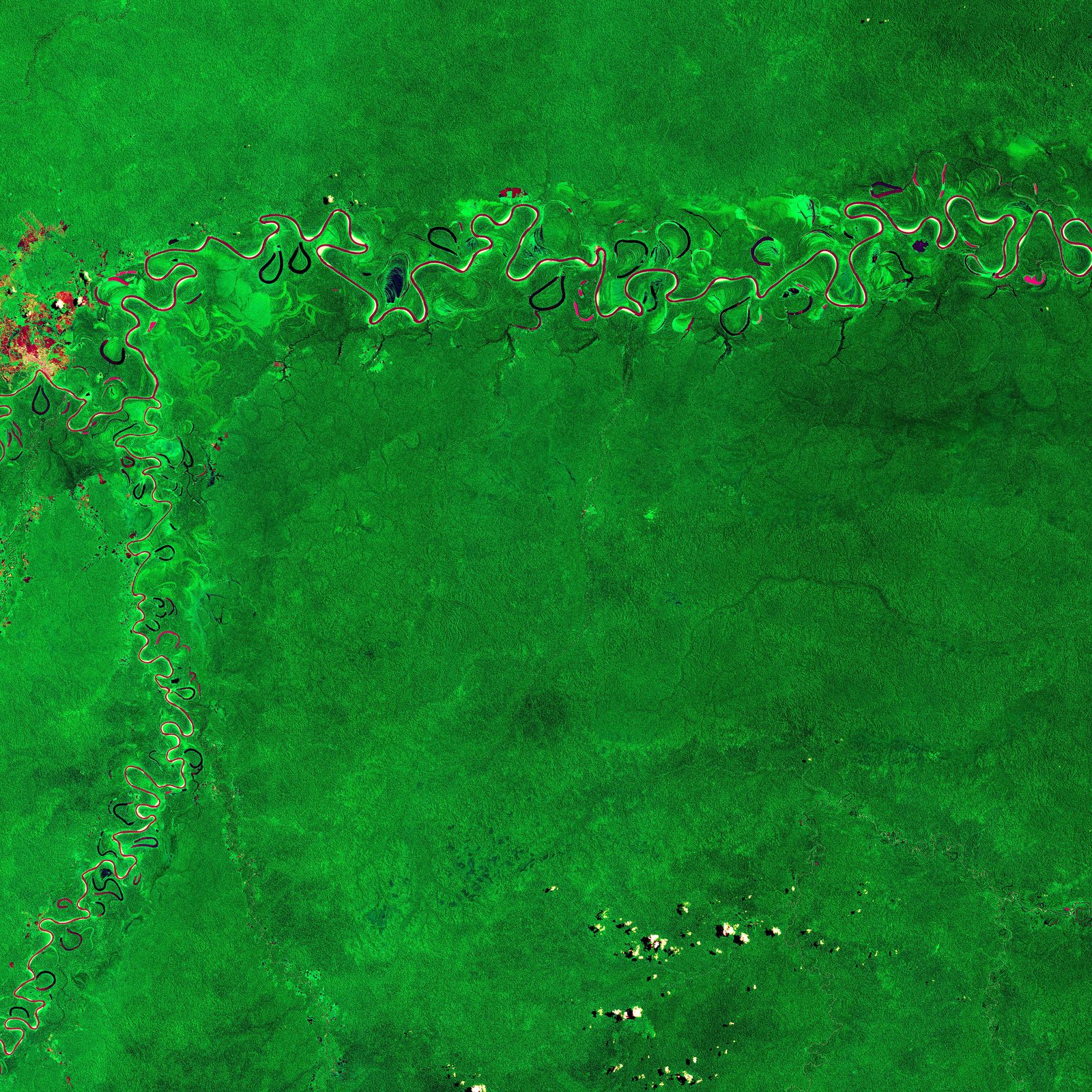 A wide rainforest river running high and fast between dense green banks during the rainy season