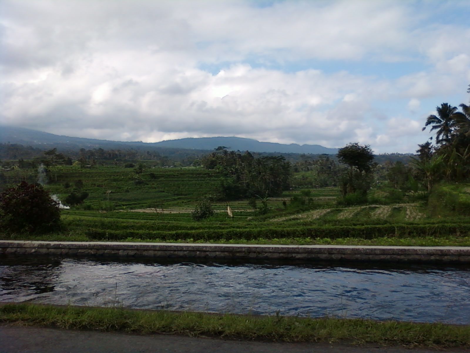 Terraced rice paddies stepping down the hillside in the Sidemen valley, East Bali