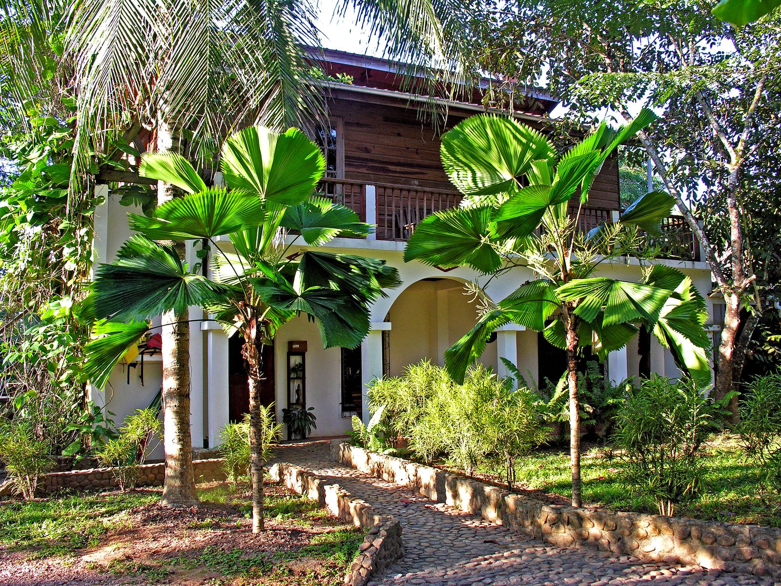A traveler's belongings arranged on a jungle lodge balcony overlooking the forest canopy