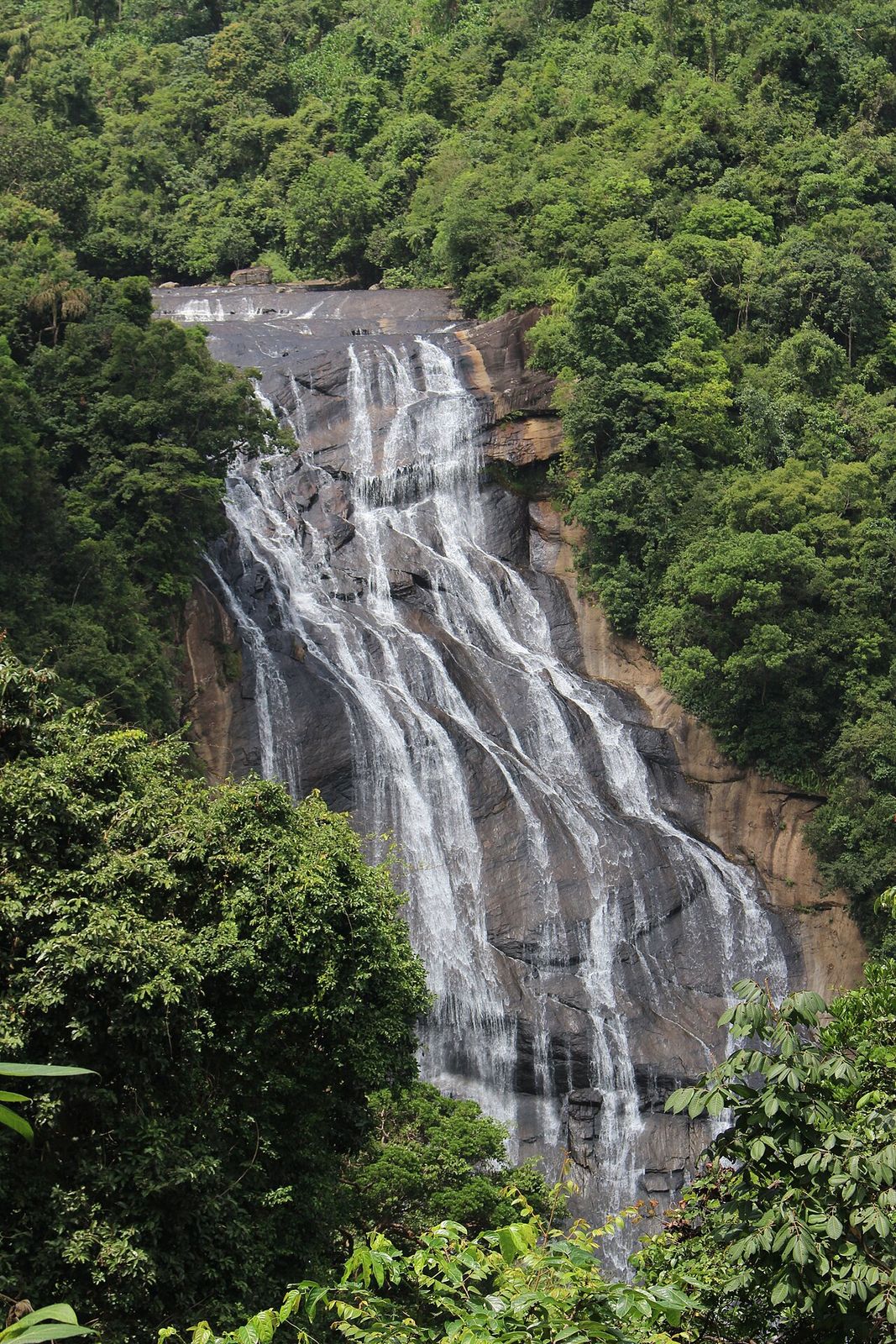 A waterfall dropping through dense green jungle vegetation in Sri Lanka