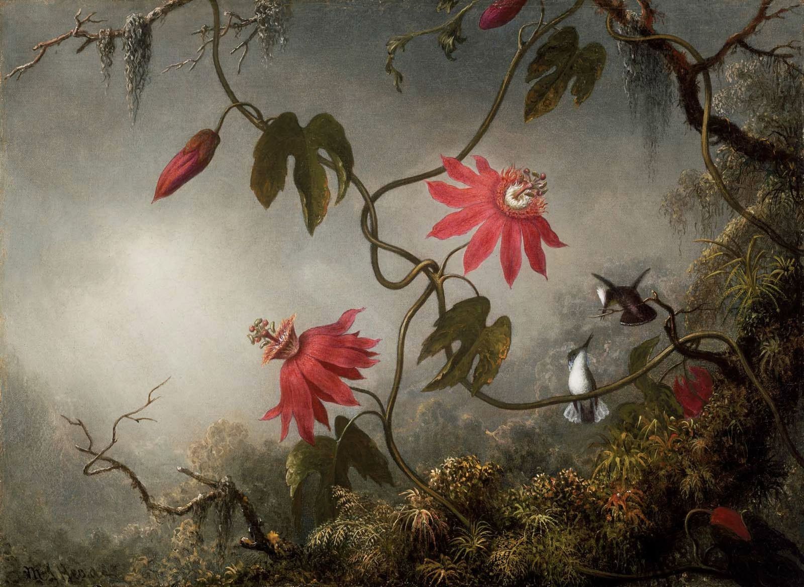 A hummingbird hovering beside a bright tropical flower, wings blurred with motion