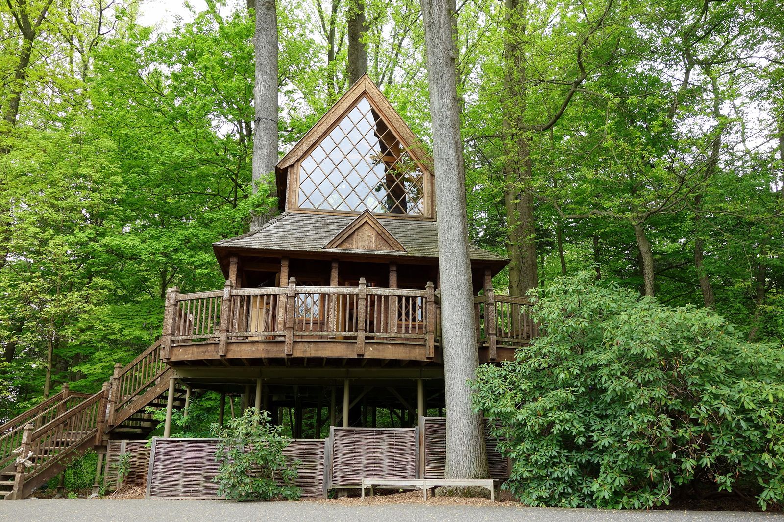 An elevated wooden treehouse platform built into the forest canopy