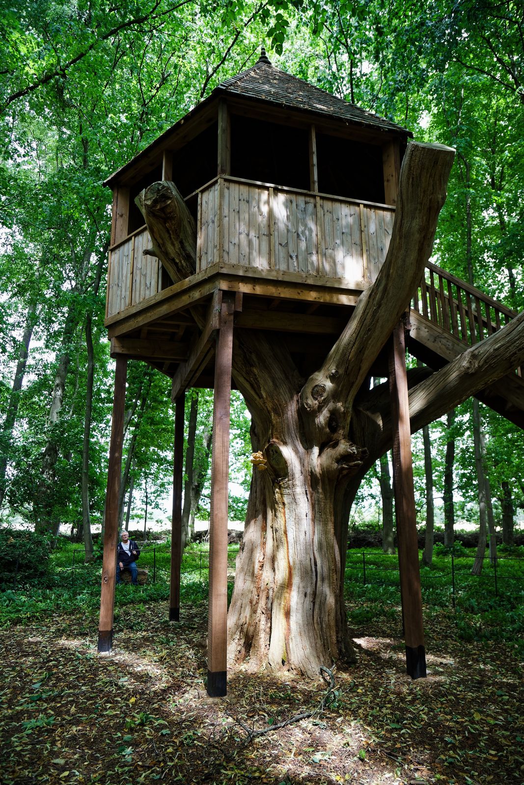 Thick wooden stilts and support posts holding an elevated treehouse structure above the forest floor