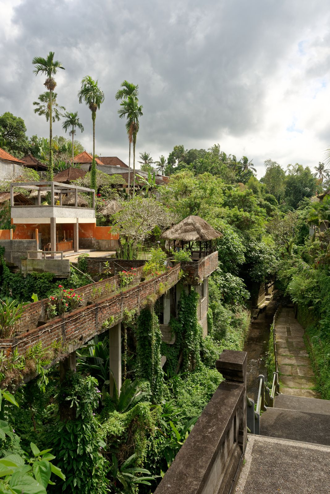 A dense, forested river gorge near Ubud, Bali, with steep green banks dropping down to the water