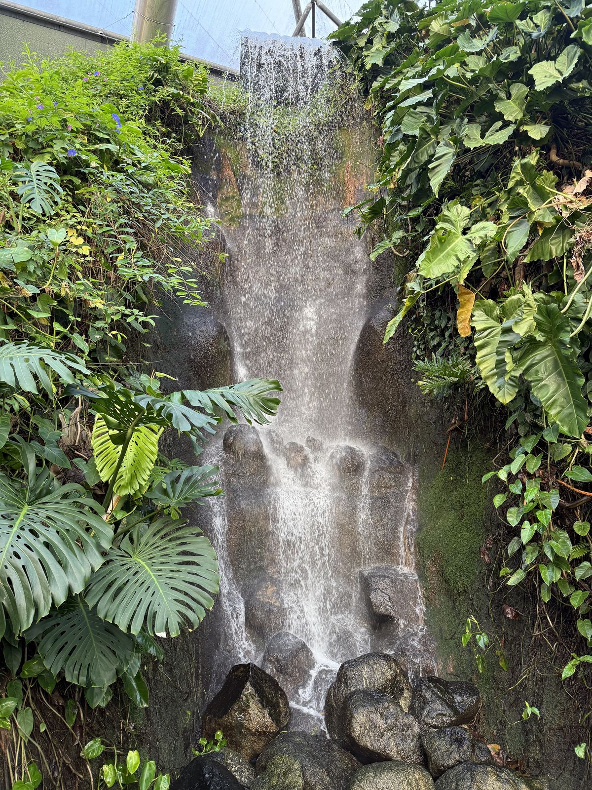 The Great Waterfalls of the Jungle