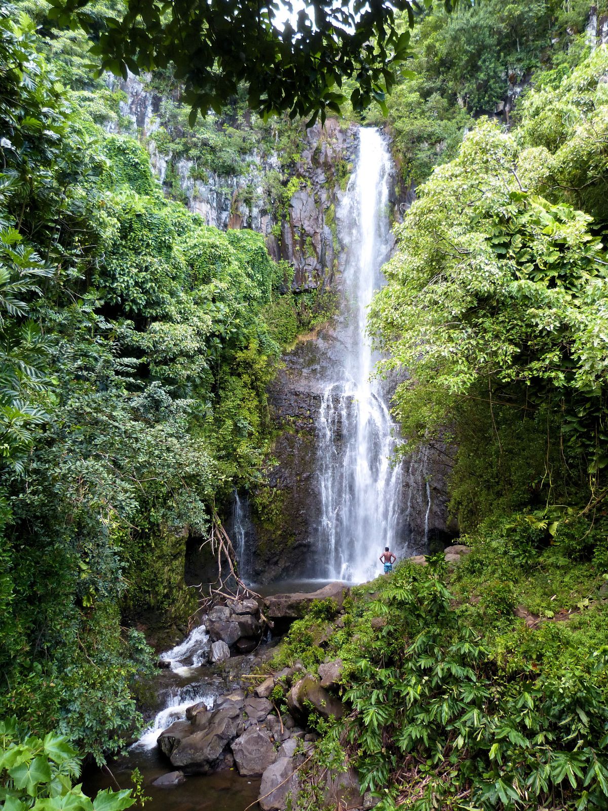 A swimmer in the plunge pool beneath a jungle waterfall