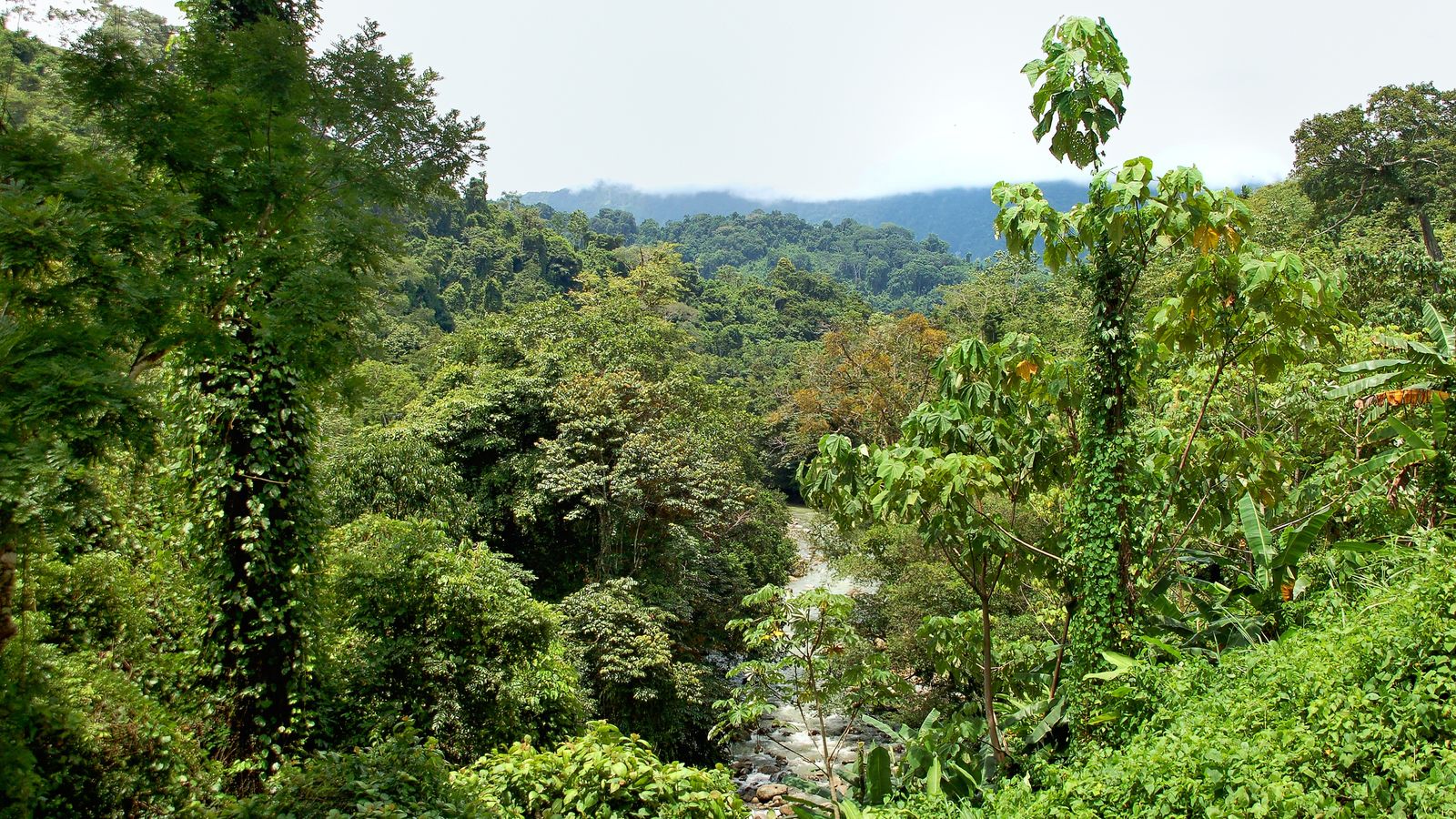 A waterfall dropping through rainforest in Costa Rica
