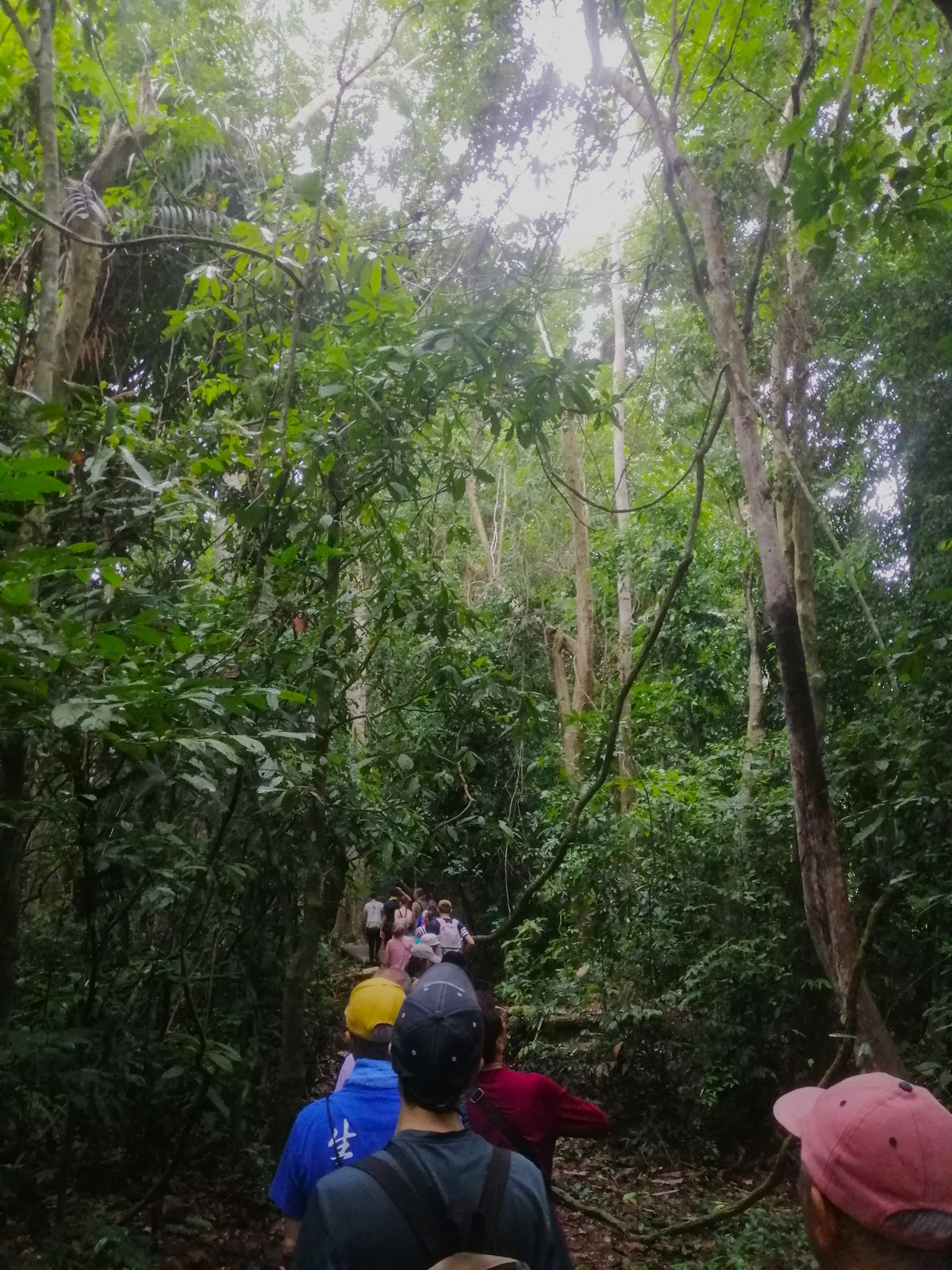 What to Pack for a Jungle Trip